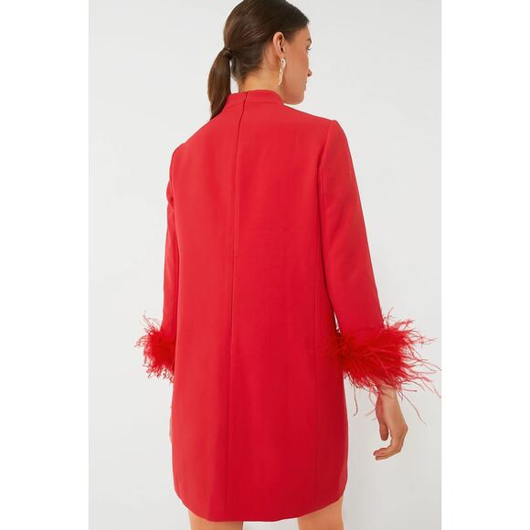 TUCKERNUCK red Feather Mod Ellie Dress NWT Size Small - Picture 4 of 11